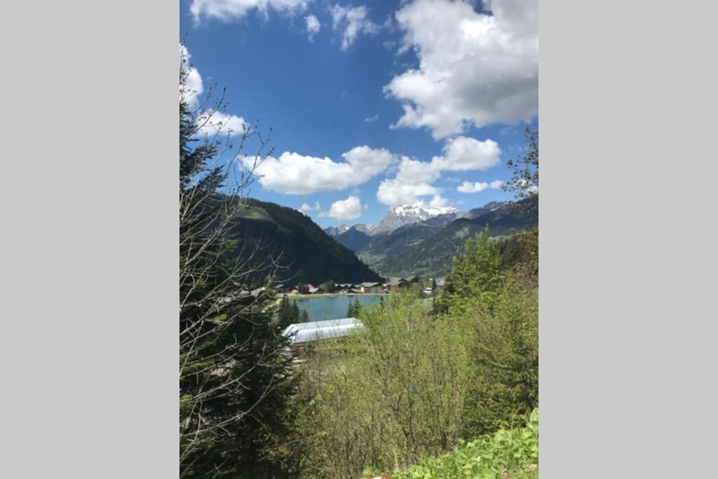 Studio Les Freinets Châtel 외부 사진